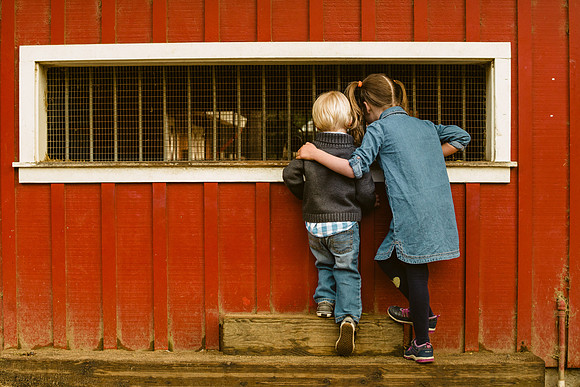 LittleFarm_2017_46